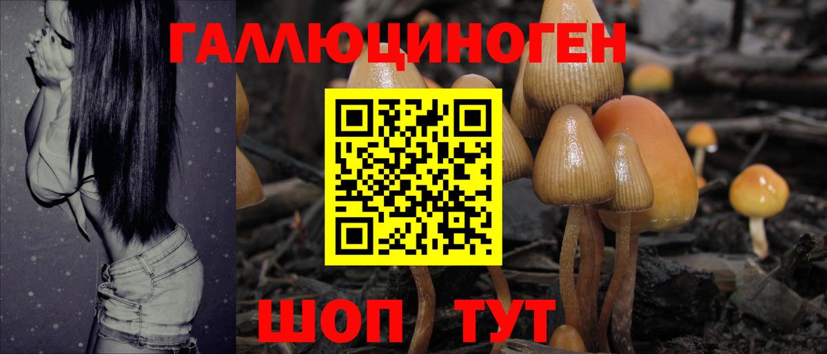 Нижний Тагил  где продают   Псилоцибиновые грибы мицелий  Вход с VPN  Псилоцибиновые грибы GOLDEN TEACHER 